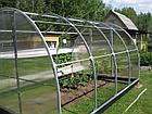 Теплица КАРКАС 4/6/8/10 м. Краб 40*20*0.67, фото 3