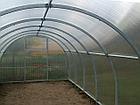 Теплица КАРКАС 4/6/8/10 м. Краб 40*20*0.67, фото 2