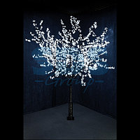 Светодиодное дерево "Сакура", выстота 2,4м, диметр кроны 2,0м, белые светодиоды, IP 54, понижающий