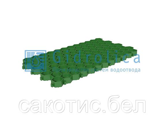 Решетка газонная Gidrolica Eco Standart РГ-70.40.3,2 - пластиковая зеленая, фото 2