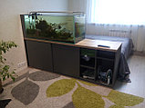 Тумба-перегородка под аквариум, фото 2