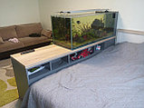 Тумба-перегородка под аквариум, фото 4