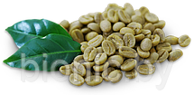 Зеленый кофе "Фитокод", 100гр., фото 2
