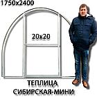 Теплица Мини (труба 20*20, шаг 1 м) 4 метра, фото 5