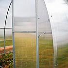 Теплица Ферма (труба 20*20, шаг 0.67 м) 4 метра, фото 6