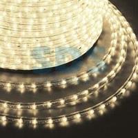Дюралайт LED, постоянное свечение (2W) - ТЕПЛЫЙ БЕЛЫЙ, 36 LED/м, бухта 100м