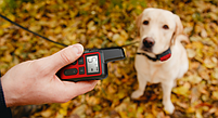 Ошейник для дрессировки собак DOG-2020. Красный дизайн., фото 9