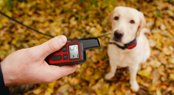 Ошейник для дрессировки собак DOG-2020. Красный дизайн. - фото 9 - id-p107303203