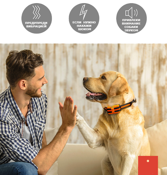 Ошейник для дрессировки собак DOG-2020. Красный дизайн. - фото 10 - id-p107303203