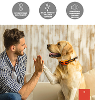 Ошейник для дрессировки собак DOG-2020. Оранжевый дизайн., фото 10