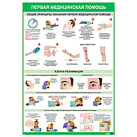 Плакат информационный Общие требования и реанимация