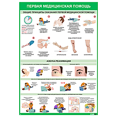 Плакат информационный Общие требования и реанимация