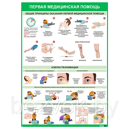 Плакат информационный Общие требования и реанимация, фото 2