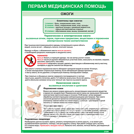 Плакат информационный Первая медицинская помощь. Ожоги, фото 2