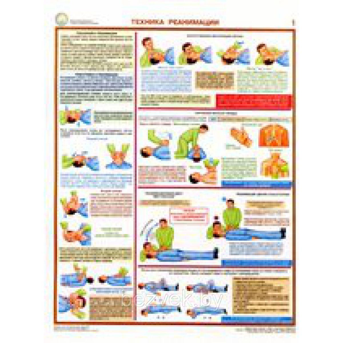 Плакат информационный Виды повязок и их наложение - фото 1 - id-p107384771