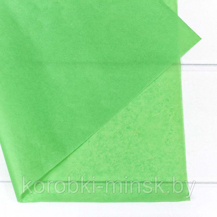 Бумага "тишью" светло-зелёный 50*66 10 листов - фото 2 - id-p107403587