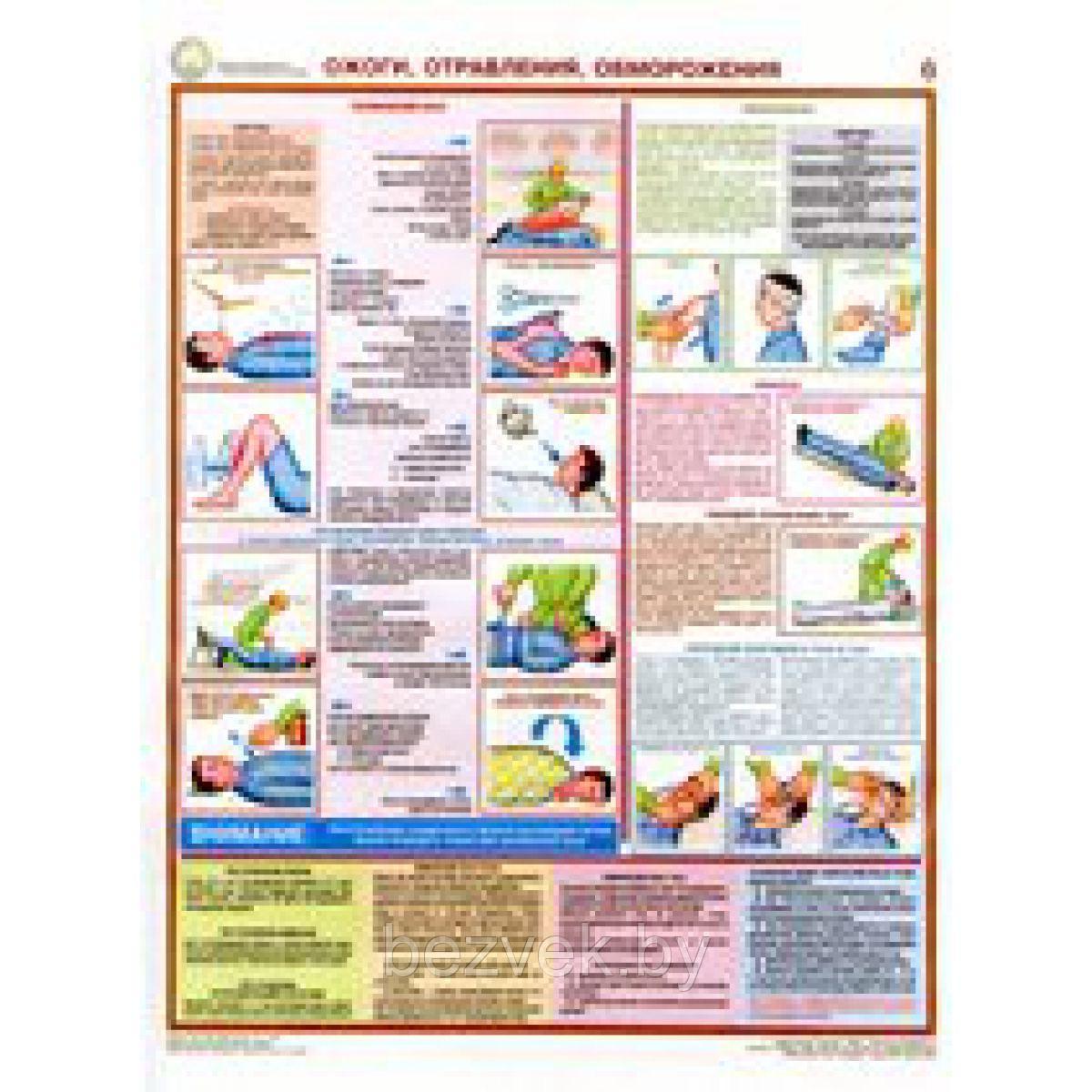 Плакат информационный Первая медицинская помощь - фото 1 - id-p107459585