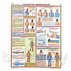 Плакат информационный Ушибы, вывихи, переломы