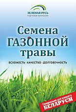 Семена газонной травы Зеленая Русь «Спортивная» 0,9 кг. Травосмесь, фото 3