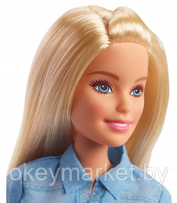 Игровой набор с куклой Barbie Barbie из серии Путешествия, FWV25, фото 2