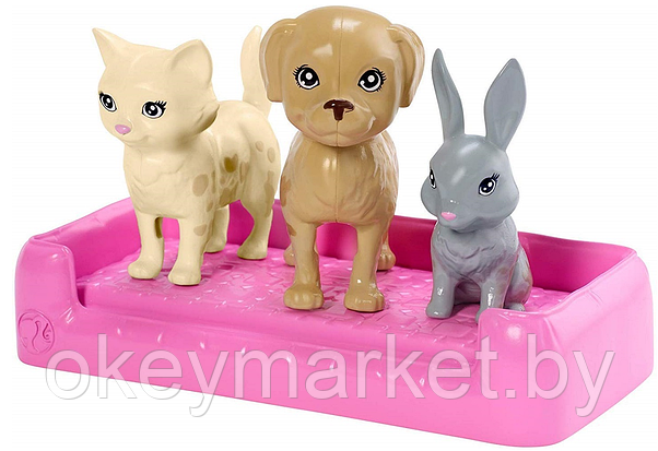 Игровой набор с куклой Barbie Домашние питомцы FXH11, фото 2