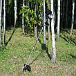 Бензокоса (триммер) Shtenli Demon Black Pro 1450 (1.45 кВт), фото 6