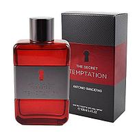 Antonio Banderas THE SECRET TEMPTATION men edt 100ml