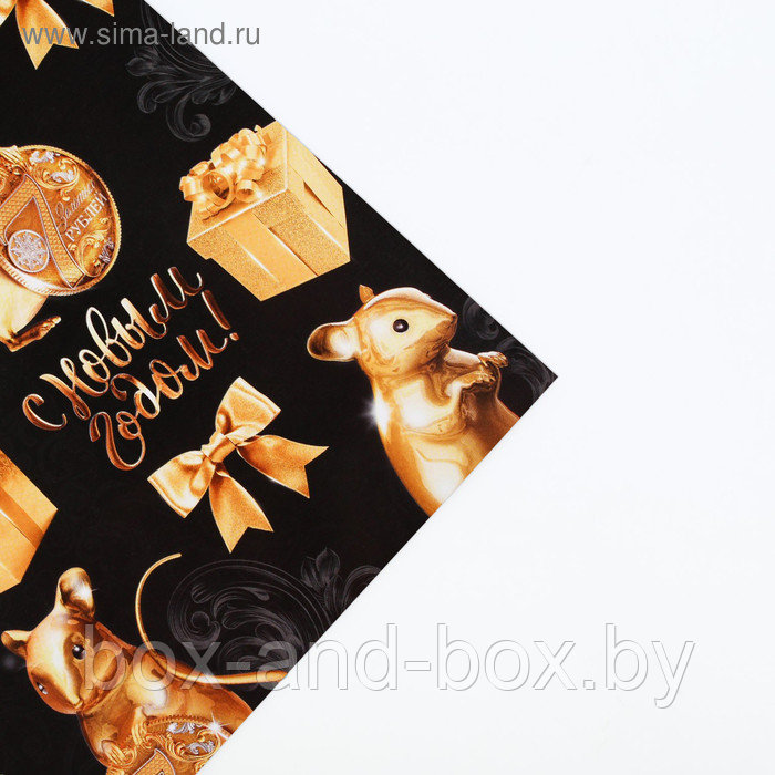 Бумага упаковочная глянцевая «Успехов в Новом году», 70 × 100 см - фото 2 - id-p107880651