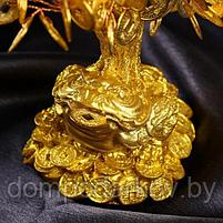 Бонсай денежное дерево "Золотая жаба на монетах" 90 монет 18,5х18х9,5 см, фото 5