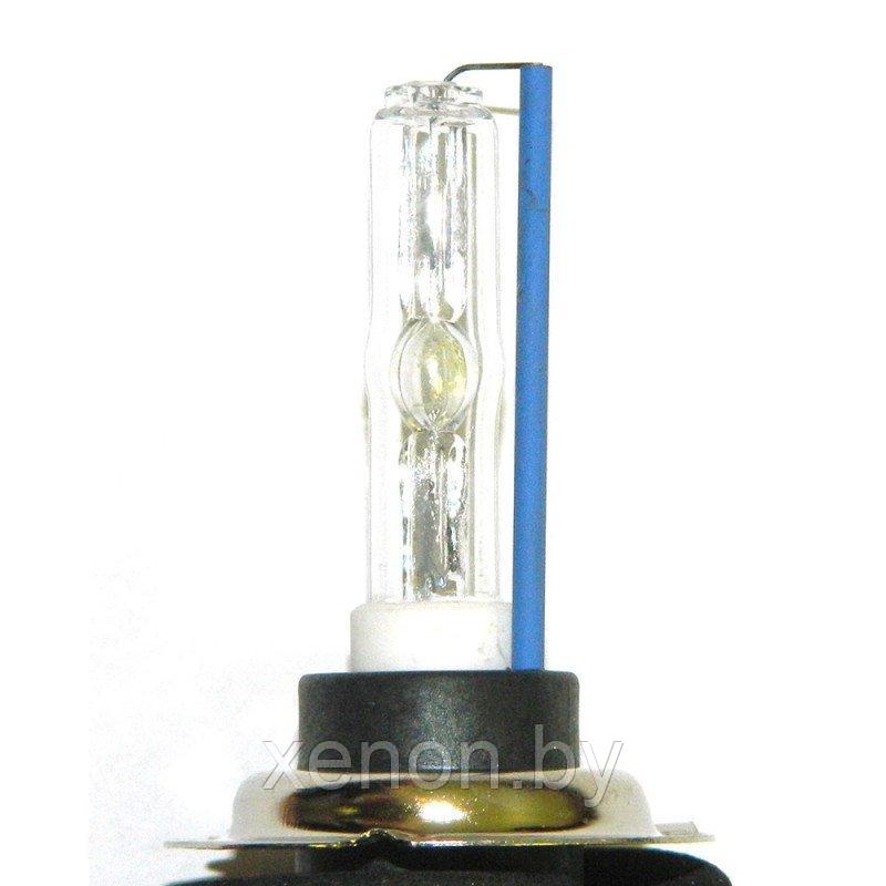 Ксеноновые лампы AutoPower Н1 PREMIUM+ (+50% света +20% скорость розжига, 2шт.)
