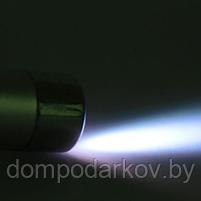 Ручка, лазер в коробке "Ученье-свет" + фонарик, фото 5