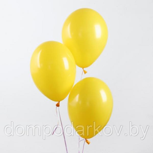 Шар латексный 10", пастель, 1 шт., цвет жёлтый - фото 1 - id-p107919618