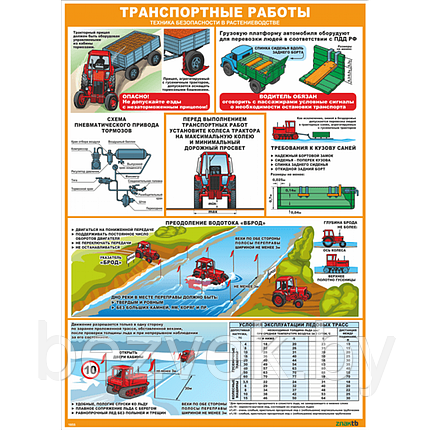 Стенд-плакат Транспортные работы. Техника безопасности в растениеводстве, фото 2