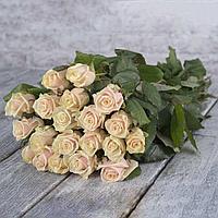 Срезанная роза "Talea" 50