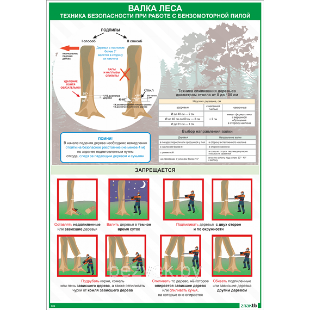 Плакат Техника безопасности при работе с бензомоторной пилой Валка леса