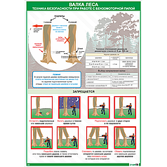 Плакат Техника безопасности при работе с бензомоторной пилой Валка леса