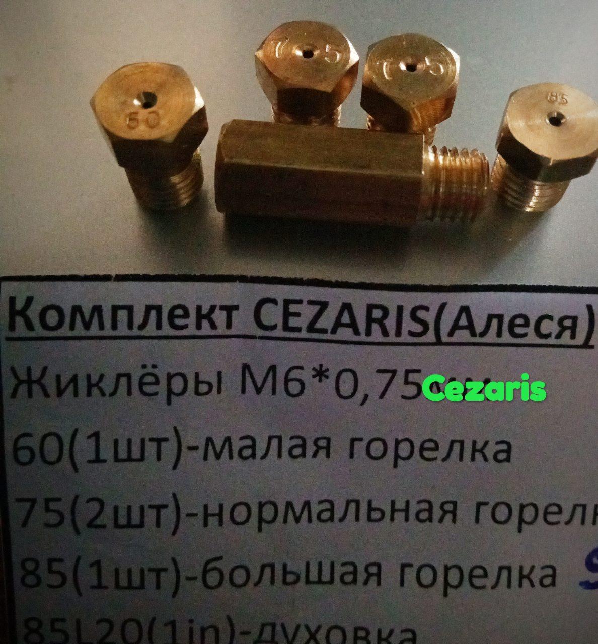 Комплект жиклеров для газовой плиты Цезарис (Cezaris). - фото 2 - id-p40103367
