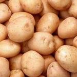 Семена картофеля Ривьера 1PC