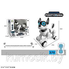 Собака-робот 20173-1 Интерактивная игрушка Собачка на р/у Robot Dog