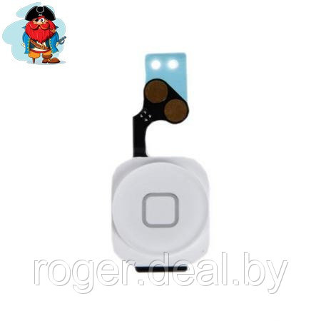 Шлейф кнопки Home (с кнопкой) для Apple iPhone 5, цвет: белый - фото 1 - id-p92972626