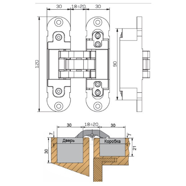 Скрытая петля универсальная OTLAV 120×30мм бронза (60 кг) - фото 2 - id-p108475809