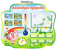 Стенд "Календарь природы" развивающий для группы "Ромашка" 800х650 мм, с комплектом вставок