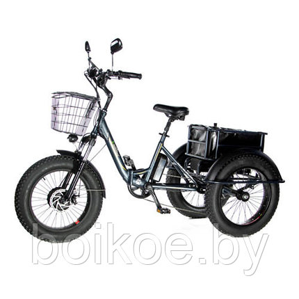 Электровелосипед трехколесный E-MOTIONS PANDA 750W, фото 2