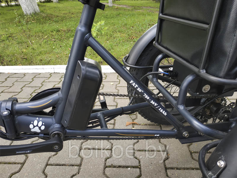 Электровелосипед трехколесный E-MOTIONS PANDA 750W - фото 7 - id-p108595417