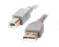 Кабель USB 2.0 Am-Bm 1.8м. CCP-USB2-AMBM-6G Cablexpert