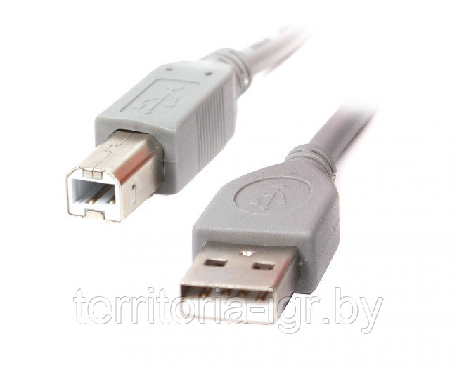 Кабель USB 2.0 Am-Bm 1.8м. CCP-USB2-AMBM-6G Cablexpert - фото 1 - id-p108775012
