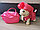 Игрушка Музыкальная собачка  ЧИЧИ-ЛАВ (CHI-CHI LOVE) с сумочкой  переноской, фото 5