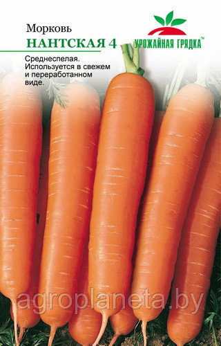 Морковь Нантская 4, 2г