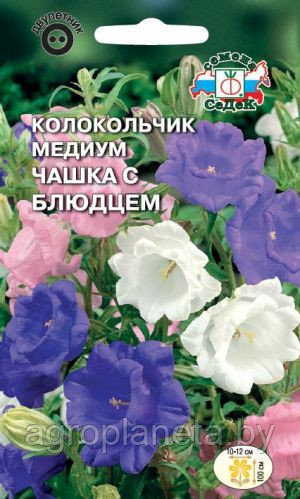 Колокольчик ЧАШКА С БЛЮДЦЕМ (медиум, смесь), 0.1г