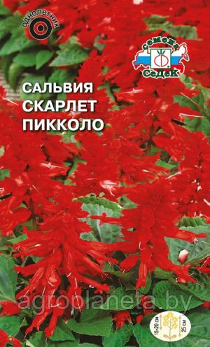 Сальвия СКАРЛЕТ ПИККОЛО, 0.2г